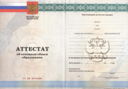 Аттестат 9 классов с 2010 по 2013 год