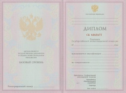 Техникум с 2003 по 2006 год
