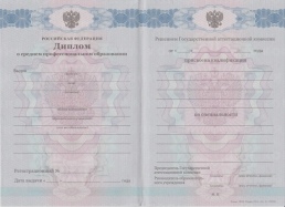 Колледж с 2011 по 2013 год